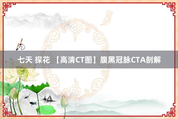 七天 探花 【高清CT图】腹黑冠脉CTA剖解