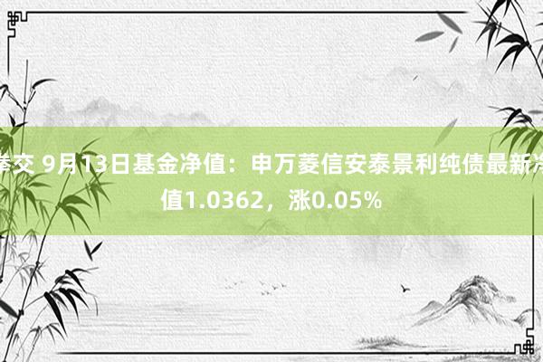 拳交 9月13日基金净值：申万菱信安泰景利纯债最新净值1.0362，涨0.05%