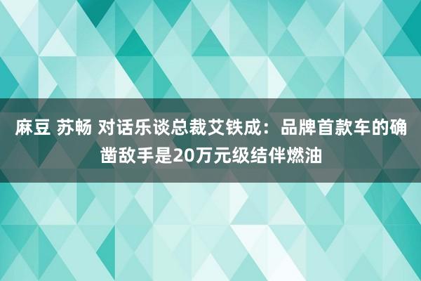 麻豆 苏畅 对话乐谈总裁艾铁成：品牌首款车的确凿敌手是20万元级结伴燃油