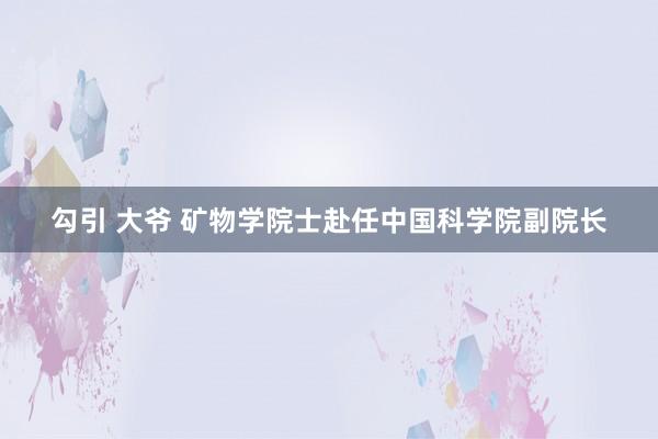 勾引 大爷 矿物学院士赴任中国科学院副院长