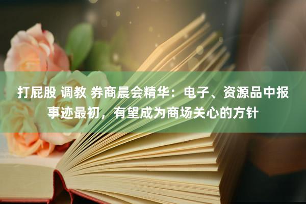 打屁股 调教 券商晨会精华：电子、资源品中报事迹最初，有望成为商场关心的方针