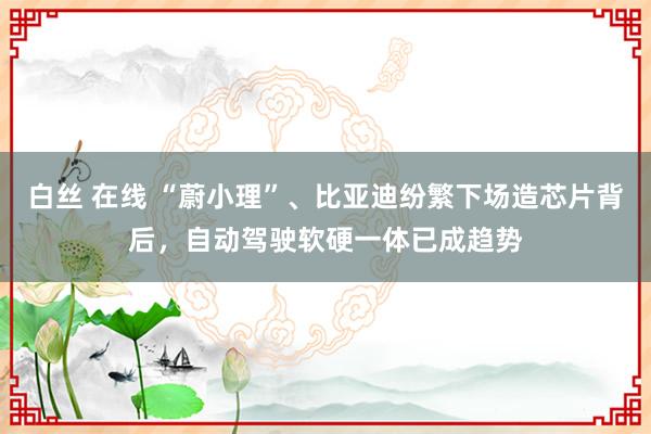 白丝 在线 “蔚小理”、比亚迪纷繁下场造芯片背后，自动驾驶软硬一体已成趋势