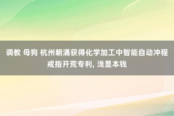 调教 母狗 杭州朝涌获得化学加工中智能自动冲程戒指开荒专利， 浅显本钱