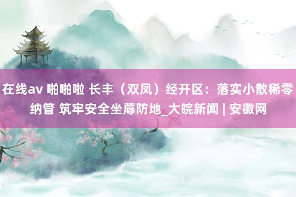 在线av 啪啪啦 长丰（双凤）经开区：落实小散稀零纳管 筑牢安全坐蓐防地_大皖新闻 | 安徽网