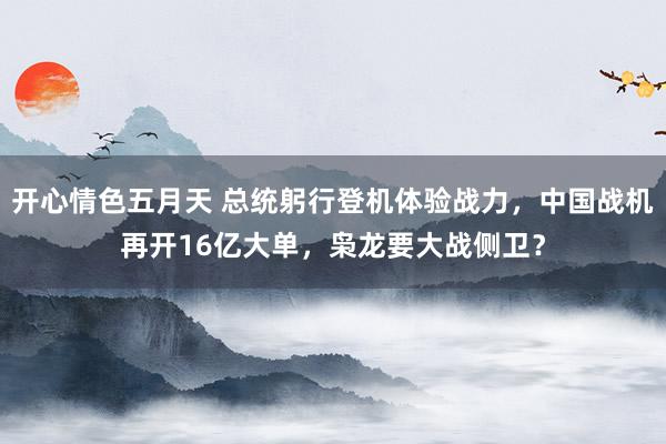 开心情色五月天 总统躬行登机体验战力，中国战机再开16亿大单，枭龙要大战侧卫？