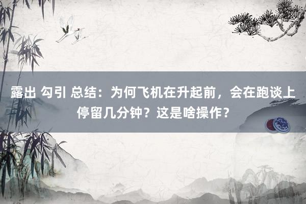 露出 勾引 总结：为何飞机在升起前，会在跑谈上停留几分钟？这是啥操作？