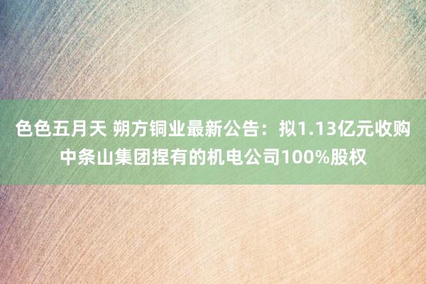 色色五月天 朔方铜业最新公告：拟1.13亿元收购中条山集团捏有的机电公司100%股权