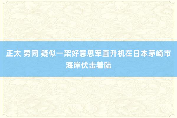 正太 男同 疑似一架好意思军直升机在日本茅崎市海岸伏击着陆