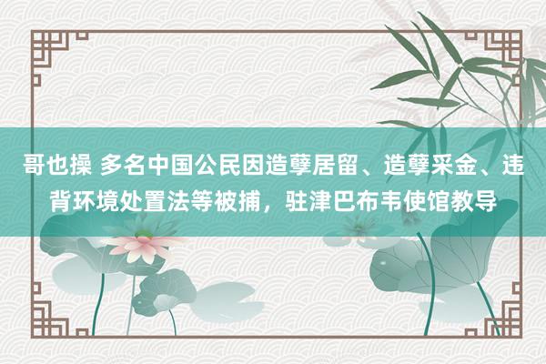 哥也操 多名中国公民因造孽居留、造孽采金、违背环境处置法等被捕，驻津巴布韦使馆教导