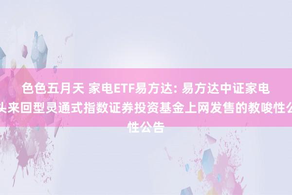 色色五月天 家电ETF易方达: 易方达中证家电龙头来回型灵通式指数证券投资基金上网发售的教唆性公告