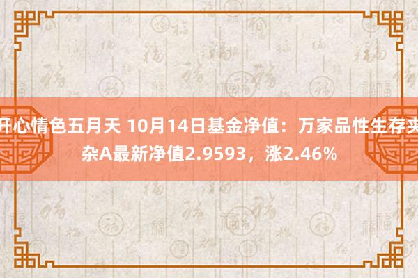 开心情色五月天 10月14日基金净值：万家品性生存夹杂A最新净值2.9593，涨2.46%