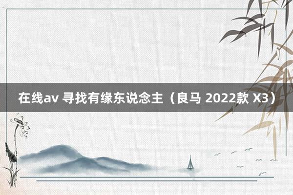 在线av 寻找有缘东说念主（良马 2022款 X3）