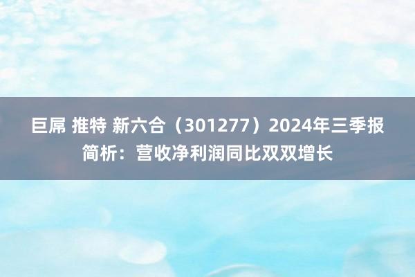 巨屌 推特 新六合（301277）2024年三季报简析：营收净利润同比双双增长