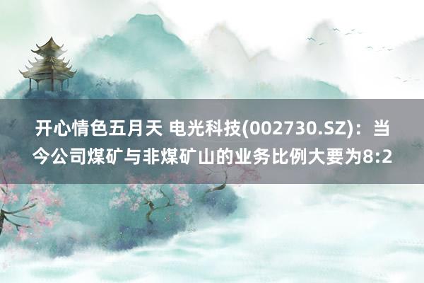 开心情色五月天 电光科技(002730.SZ)：当今公司煤矿与非煤矿山的业务比例大要为8:2