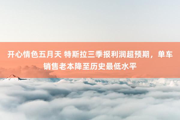 开心情色五月天 特斯拉三季报利润超预期，单车销售老本降至历史最低水平