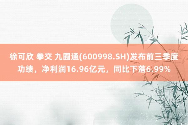 徐可欣 拳交 九囿通(600998.SH)发布前三季度功绩，净利润16.96亿元，同比下落6.99%