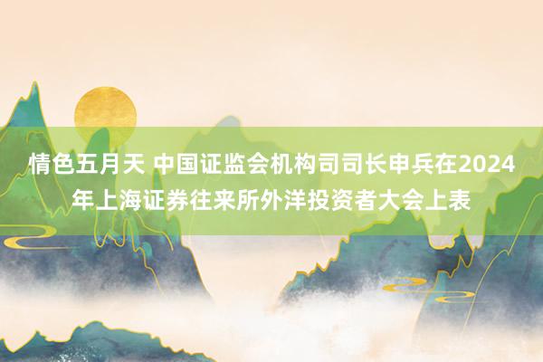 情色五月天 中国证监会机构司司长申兵在2024年上海证券往来所外洋投资者大会上表