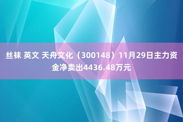 丝袜 英文 天舟文化（300148）11月29日主力资金净卖出4436.48万元