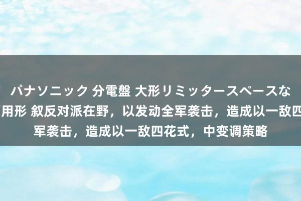 パナソニック 分電盤 大形リミッタースペースなし 露出・半埋込両用形 叙反对派在野，以发动全军袭击，造成以一敌四花式，中变调策略