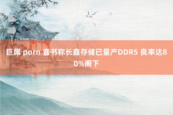 巨屌 porn 音书称长鑫存储已量产DDR5 良率达80%阁下