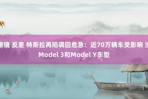 眼镜 反差 特斯拉再陷调回危急：近70万辆车受影响 涉Model 3和Model Y车型