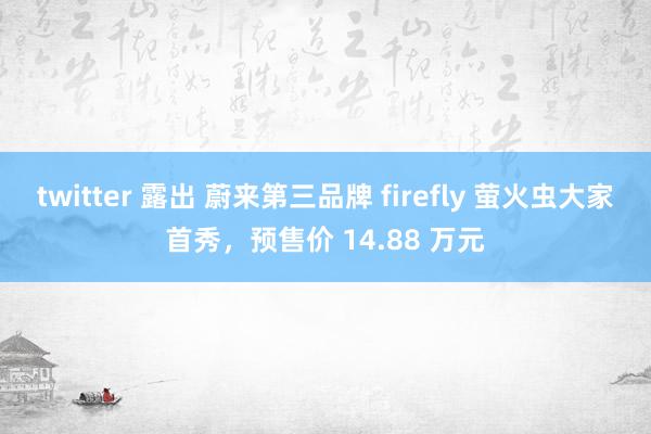 twitter 露出 蔚来第三品牌 firefly 萤火虫大家首秀，预售价 14.88 万元