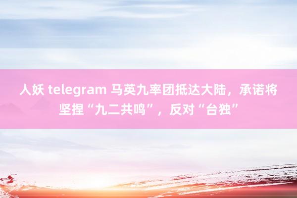 人妖 telegram 马英九率团抵达大陆，承诺将坚捏“九二共鸣”，反对“台独”