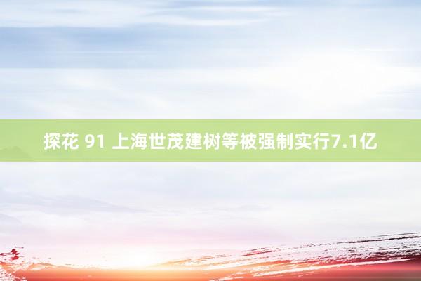 探花 91 上海世茂建树等被强制实行7.1亿