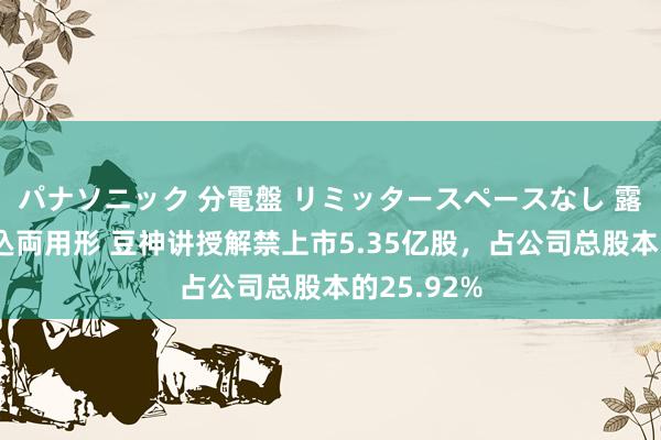 パナソニック 分電盤 リミッタースペースなし 露出・半埋込両用形 豆神讲授解禁上市5.35亿股，占公司总股本的25.92%