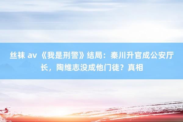 丝袜 av 《我是刑警》结局：秦川升官成公安厅长，陶维志没成他门徒？真相