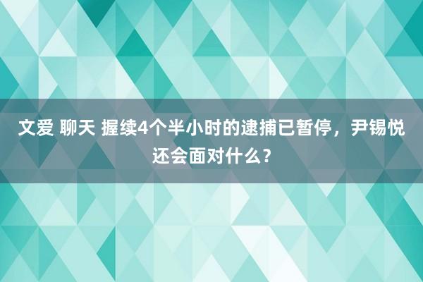 文爱 聊天 握续4个半小时的逮捕已暂停，尹锡悦还会面对什么？