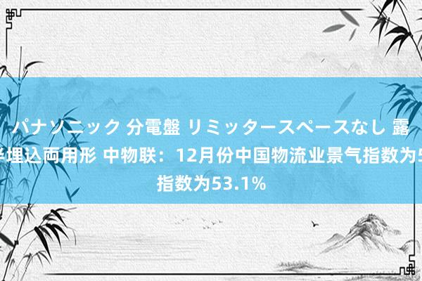 パナソニック 分電盤 リミッタースペースなし 露出・半埋込両用形 中物联：12月份中国物流业景气指数为53.1%