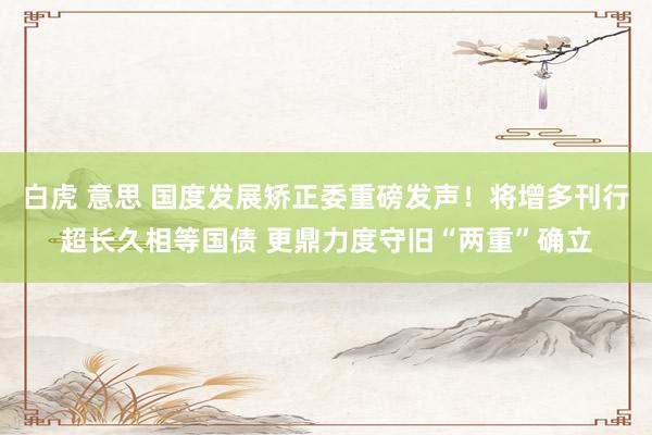 白虎 意思 国度发展矫正委重磅发声！将增多刊行超长久相等国债 更鼎力度守旧“两重”确立