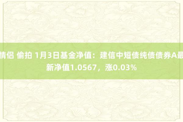 情侣 偷拍 1月3日基金净值：建信中短债纯债债券A最新净值1.0567，涨0.03%