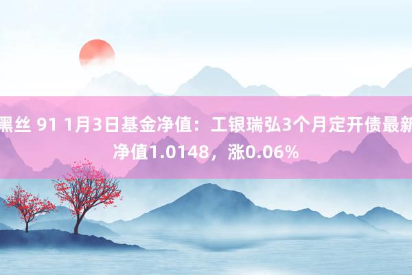 黑丝 91 1月3日基金净值：工银瑞弘3个月定开债最新净值1.0148，涨0.06%