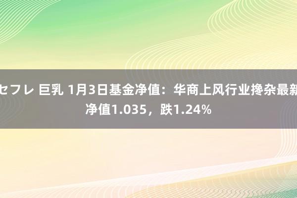 セフレ 巨乳 1月3日基金净值：华商上风行业搀杂最新净值1.035，跌1.24%