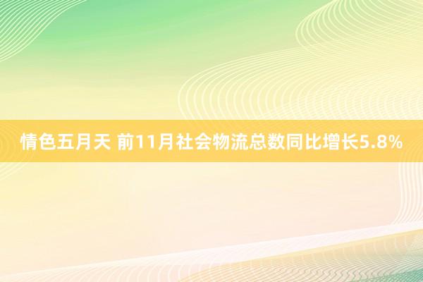 情色五月天 前11月社会物流总数同比增长5.8%