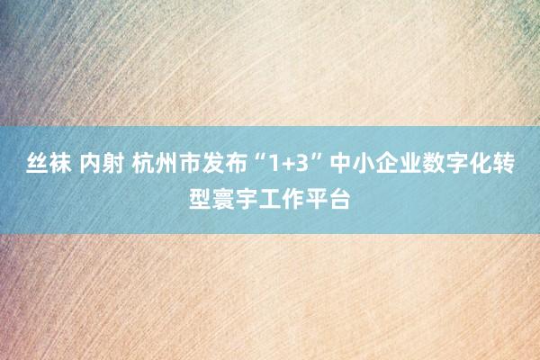 丝袜 内射 杭州市发布“1+3”中小企业数字化转型寰宇工作平台