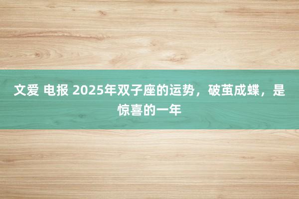 文爱 电报 2025年双子座的运势，破茧成蝶，是惊喜的一年