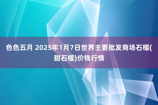 色色五月 2025年1月7日世界主要批发商场石榴(甜石榴)价钱行情