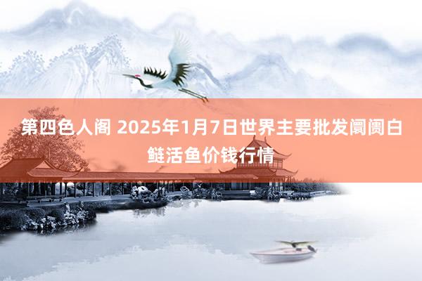 第四色人阁 2025年1月7日世界主要批发阛阓白鲢活鱼价钱行情