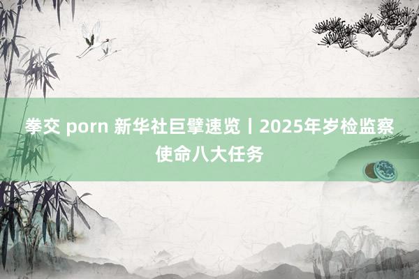 拳交 porn 新华社巨擘速览丨2025年岁检监察使命八大任务