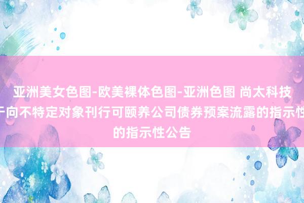 亚洲美女色图-欧美裸体色图-亚洲色图 尚太科技: 对于向不特定对象刊行可颐养公司债券预案流露的指示性公告